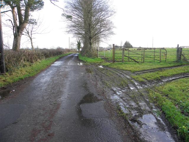 Muddy along Dryarch Road