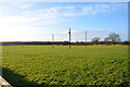 Fields with electricity poles