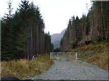 NN1909 : Forest access in Glen Kinglas by Alan Reid
