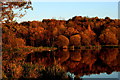 Lochore Meadows Autumn