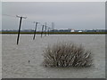 TF3400 : Electricity poles in deep flood water - The Nene Washes by Richard Humphrey