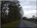 Wide verges on road to Marston Meysey