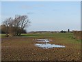 Over wet fields towards Westley Waterless Church