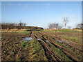 Rutted track near Brinkley Road