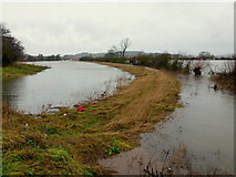 SO8624 : Flooded River Chelt by Jonathan Billinger