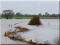 SO8625 : Flooded Leigh Brook, 2 by Jonathan Billinger