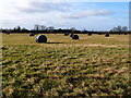 Pasture land and silage bales near Folly Farm