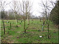 Prestwold Natural Burial Ground