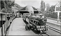 TR1534 : Hythe RH&DR station, with train, 1962 by Ben Brooksbank