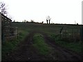 Field entrance off Stokesley Road