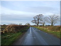 Road towards Deighton