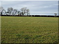 Farmland near Manor House