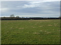 Farmland, East Worsall Farm