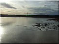 Flooded farmland, West Lynn