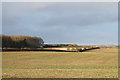 SK9020 : Fields off Moor Lane by J.Hannan-Briggs