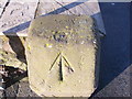 Brompton Boundary Stone and Rivet