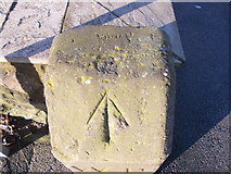 TQ7668 : Brompton Boundary Stone and Rivet by dave-harris