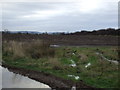 NZ4311 : Farmland off Green Lane by JThomas