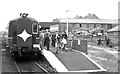D1003 : Railtour, Ballymena (1983) by Albert Bridge