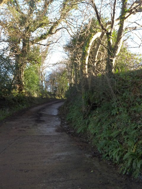 The farm road to Newtown Farm © David Smith :: Geograph Britain and Ireland