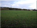 Farmland, Sandpit Hill