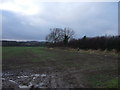 Farmland, Longlands