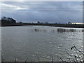 Flooded field off Long Lane