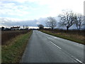 Minor road towards Hutton Rudby