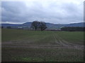 Farmland off Parson Back Lane