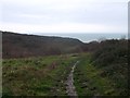TQ8310 : Footpath in Hastings Country Park  by David Anstiss