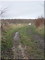 Footpath - Soothill Lane