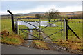 NS4605 : Gate onto a soggy pasture by Philip Jeffrey