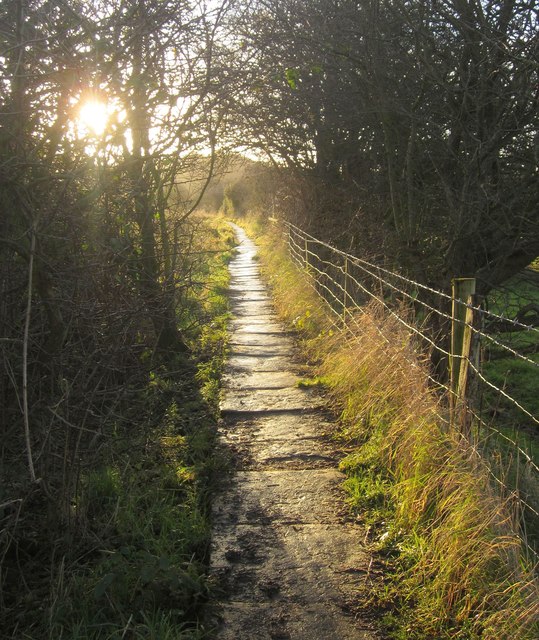 Stone trod, Esk flood plain © Derek Harper :: Geograph Britain and Ireland