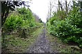 Shell Lane, Calverley