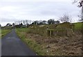 Ruin beside road to Lough House