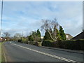 The A325 heading north from The Forest Inn