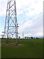 Pylons near Denwick Lane End