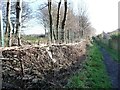 Strengthened boundary, west of Fieldhead Hospital