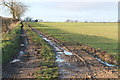 TF1595 : Muddy Track to Stone Farm by J.Hannan-Briggs