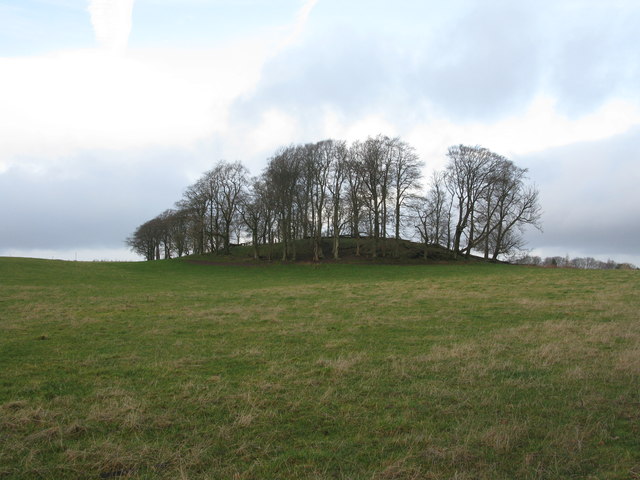 Small copse of trees at Waterfoot © G Laird :: Geograph Britain and Ireland