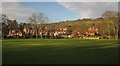 Cricket ground, Sleights