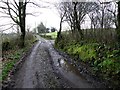 A wet and muddy road at Mullawinny