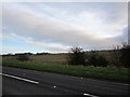 Farmland near Kincaidston