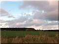 Silage clamps on Smeatharpe airfield