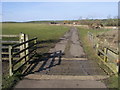 Drive and footpath nearing Denham Lodge