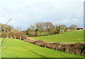 Fields at Gurnard