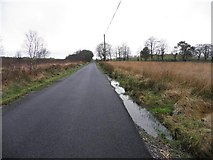 H4164 : Ballynahatty Road, Attaghmore by Kenneth  Allen