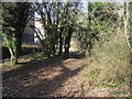 Path nearing South Marston Park