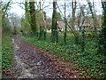 The bridleway reaches the Arundel & District Community Hospital (2)