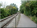 ST6770 : Bristol and Bath Railway Path SE of Bitton station by Jaggery